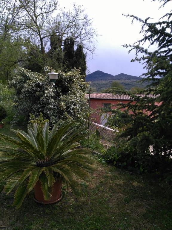 Agriturismo Usurtala Orani 外观 照片