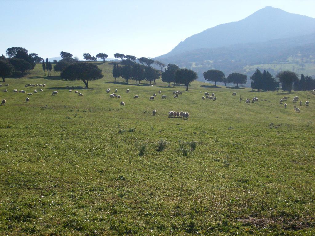 Agriturismo Usurtala Orani 外观 照片